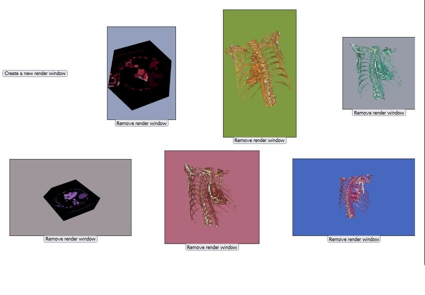 ManyRenderWindows