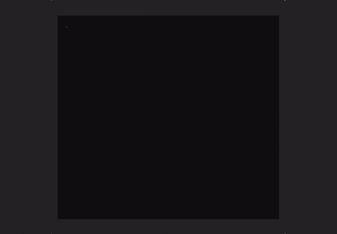 PaintWidget